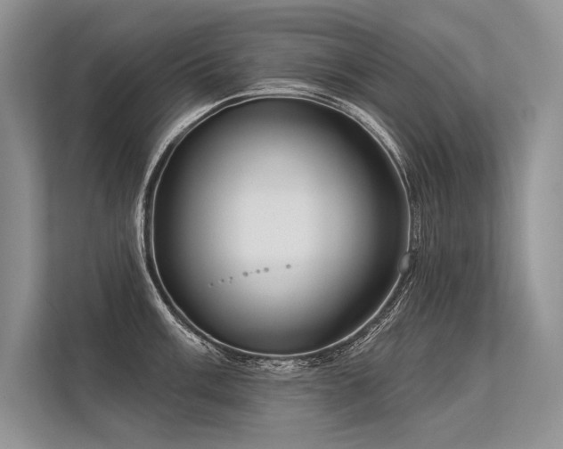 X0000113341003200909221119