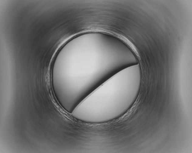 X0000113341004200909221119