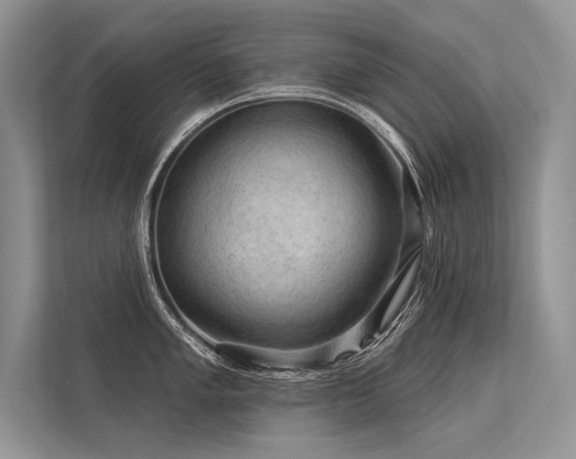 X0000113341005200909221119