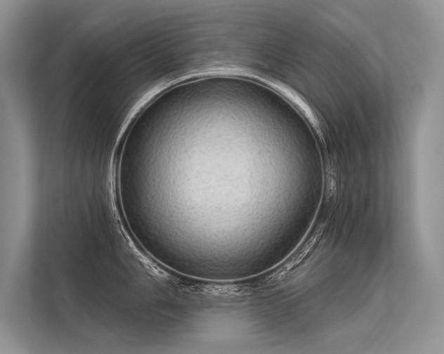 X0000113341006200909221119