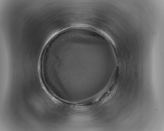 X0000113341007200909221119