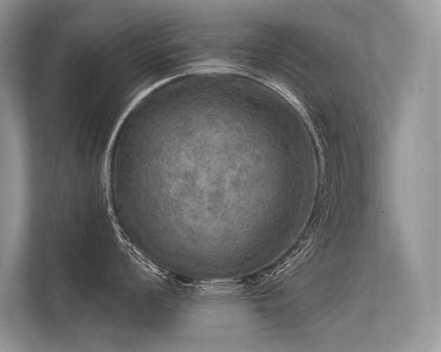 X0000113341008200909221119