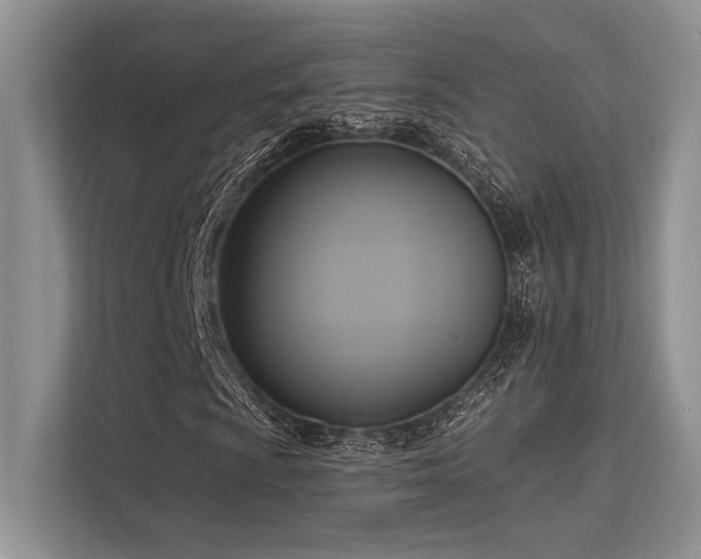 X0000113341009200909221119