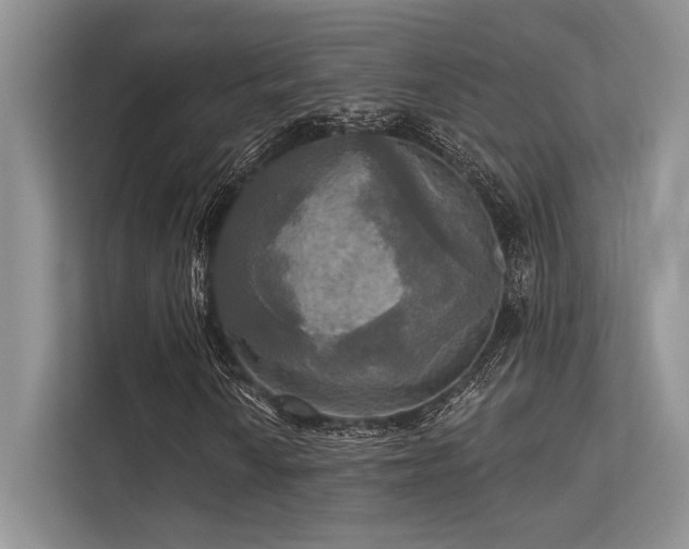 X0000113341010200909221119