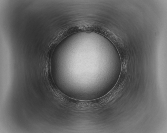 X0000113341012200909221119