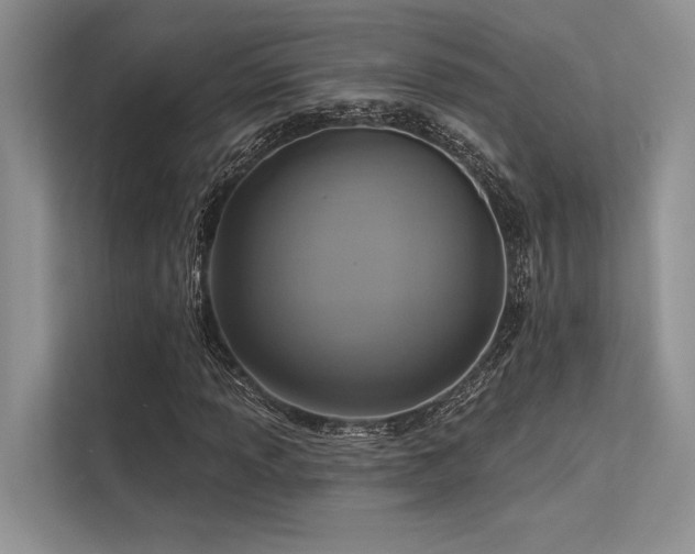 X0000113341013200909221119