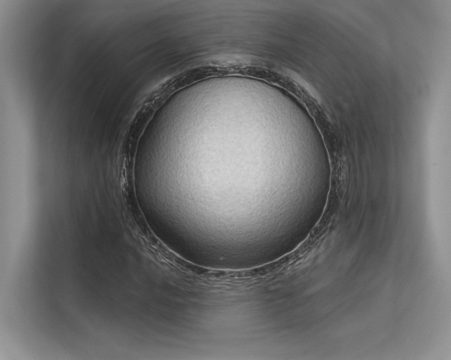 X0000113341016200909221119