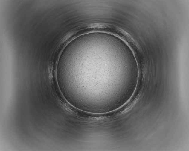 X0000113341017200909221119