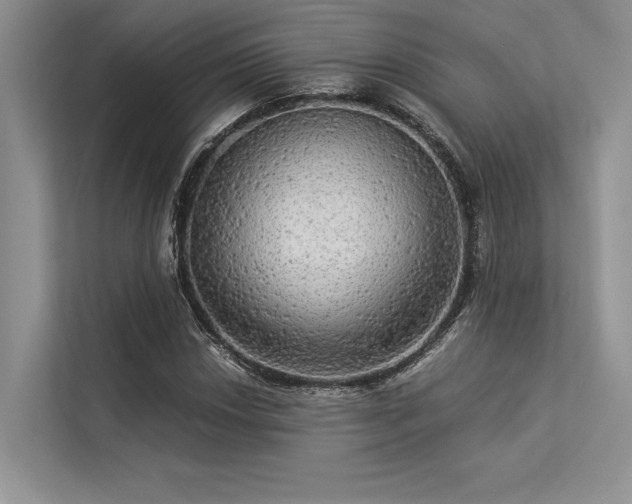 X0000113341018200909221119