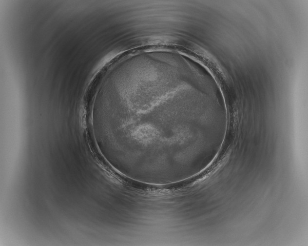 X0000113341019200909221119