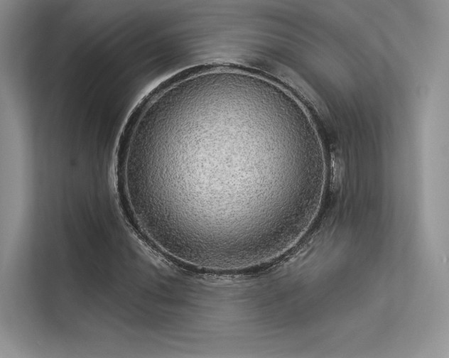 X0000113341020200909221119