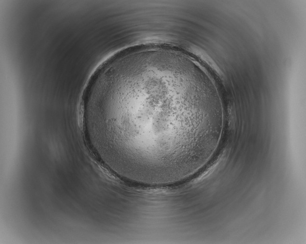 X0000113341021200909221119