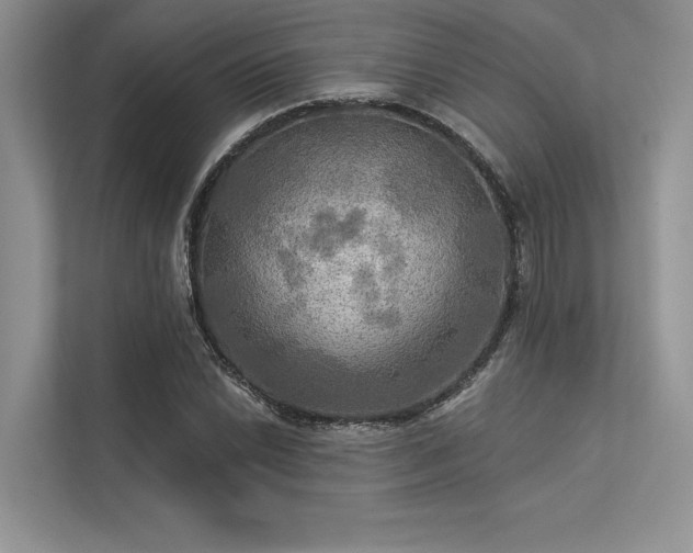 X0000113341022200909221119