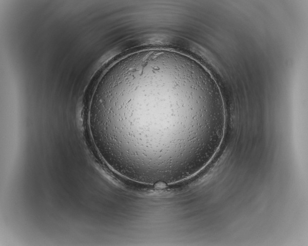 X0000113341026200909221119