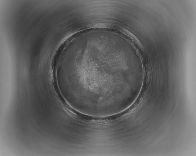 X0000113341027200909221119