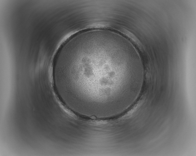 X0000113341030200909221119