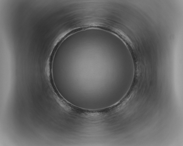 X0000113341031200909221119