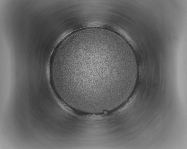 X0000113341034200909221119