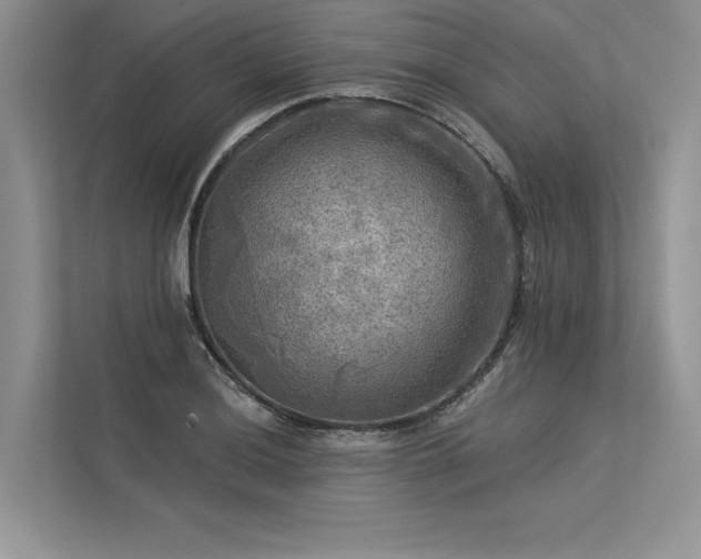 X0000113341036200909221119