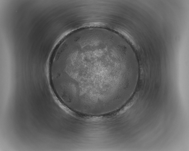 X0000113341038200909221119