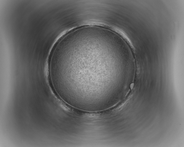 X0000113341040200909221119