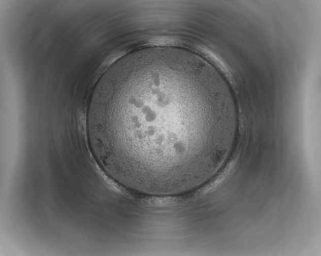 X0000113341041200909221119