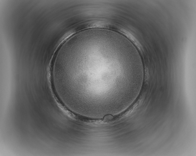 X0000113341042200909221119