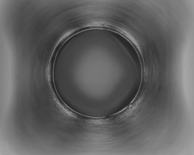 X0000113341045200909221119