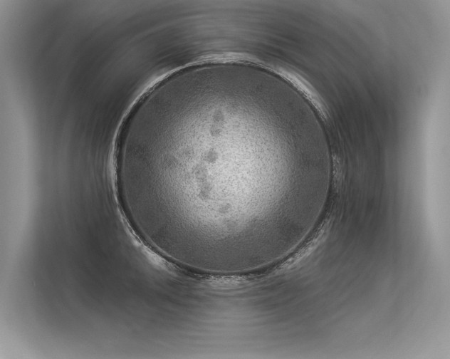 X0000113341046200909221119