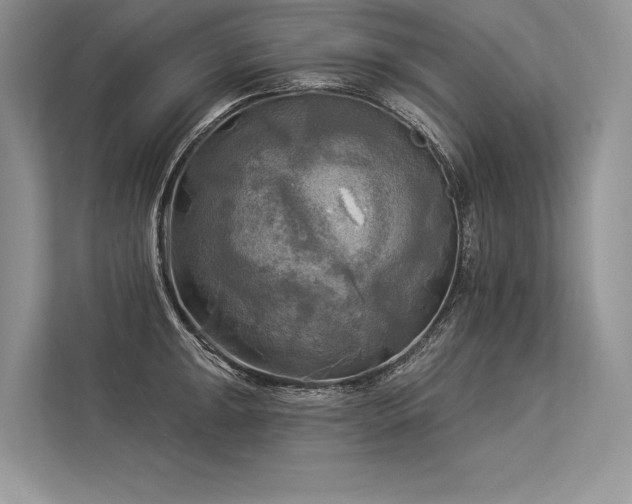 X0000113341047200909221119