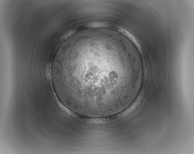 X0000113341049200909221119