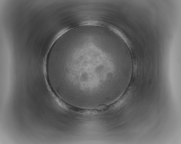 X0000113341050200909221119