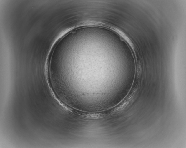 X0000113341053200909221119