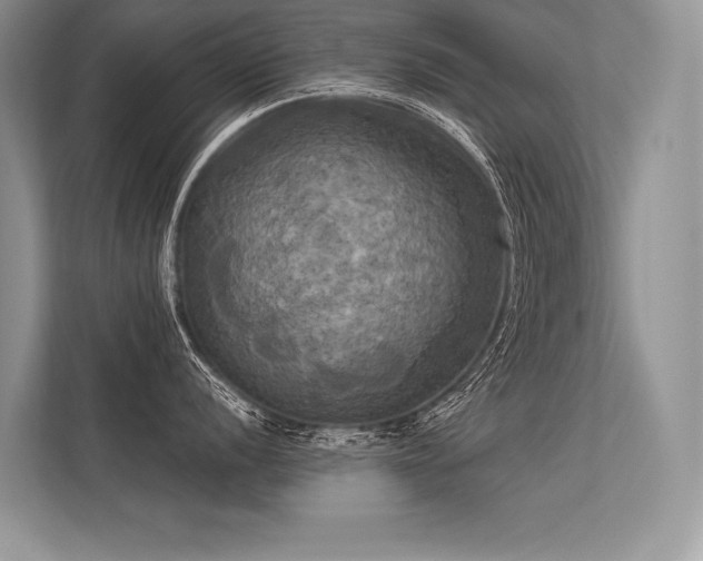 X0000113341056200909221119