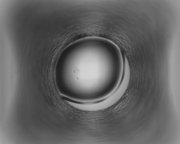 X0000113341057200909221119