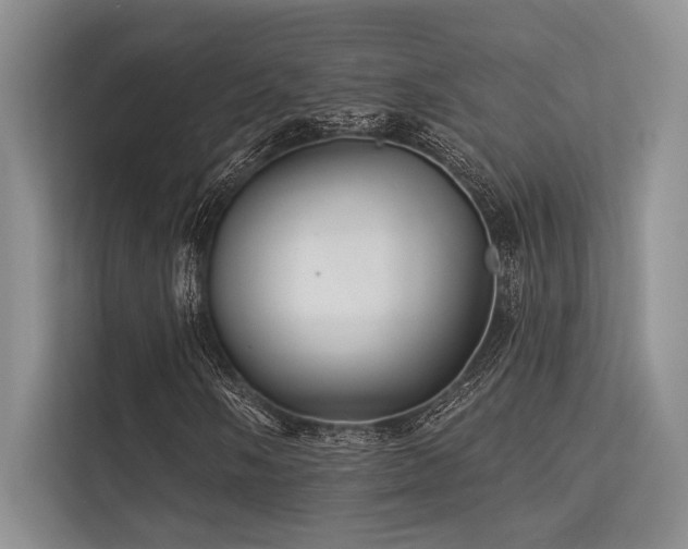 X0000113341058200909221119