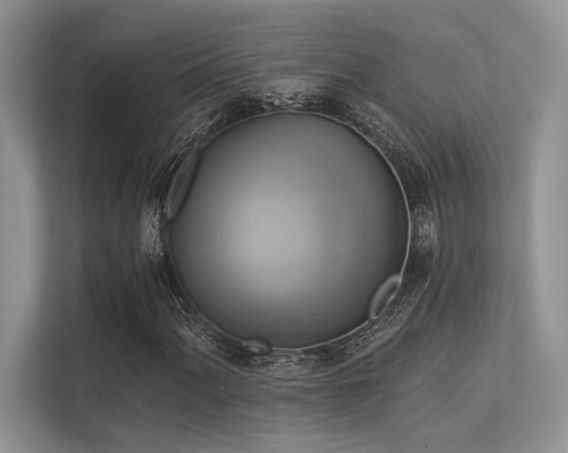 X0000113341060200909221119