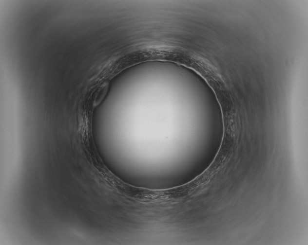 X0000113341061200909221119