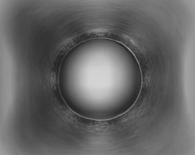 X0000113341062200909221119