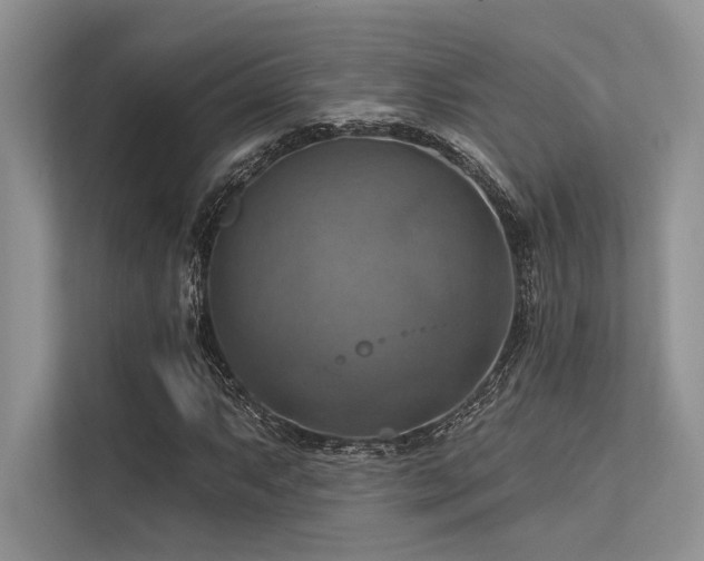 X0000113341063200909221119