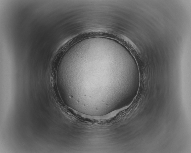 X0000113341064200909221119