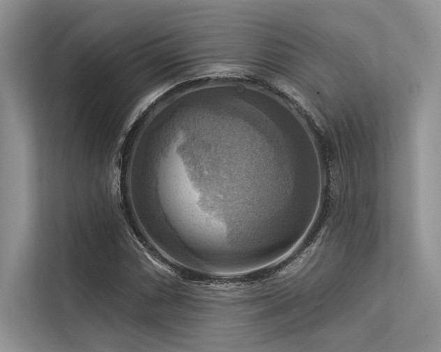 X0000113341066200909221119