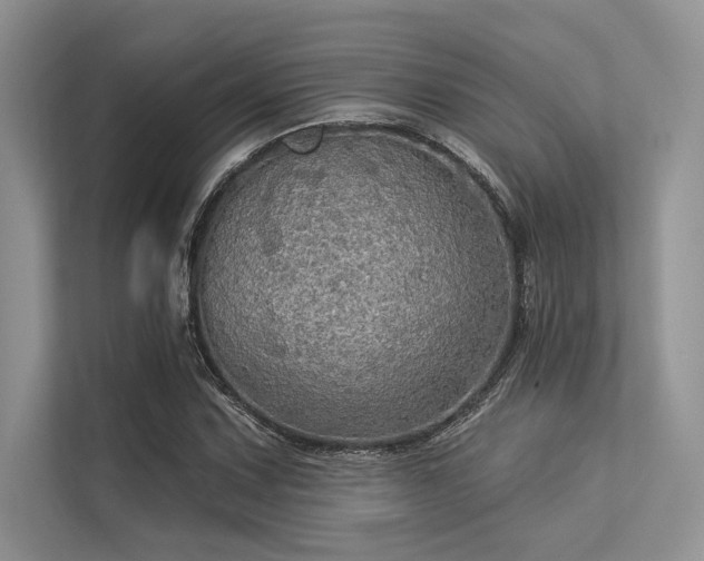 X0000113341067200909221119