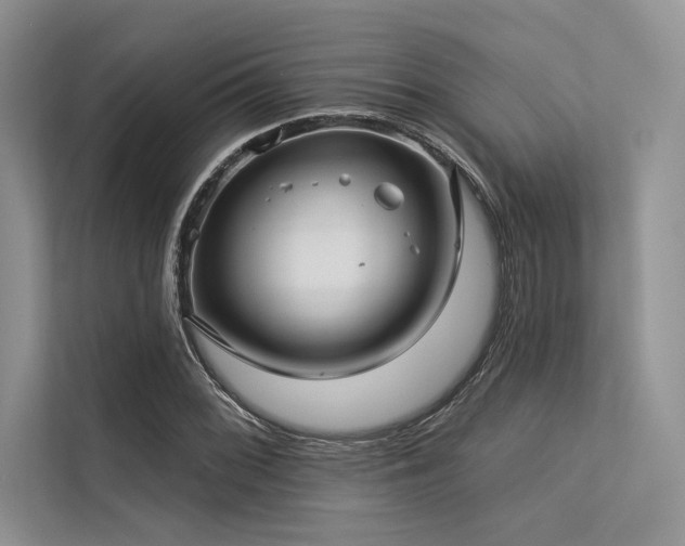 X0000113341068200909221119