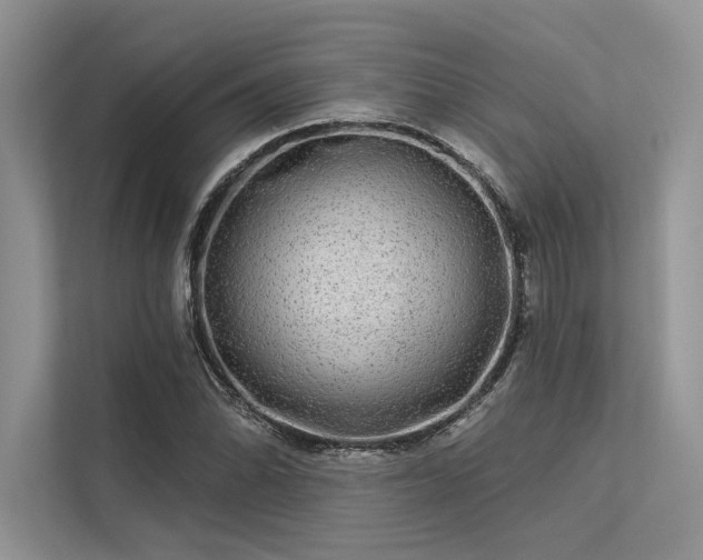 X0000113341070200909221119