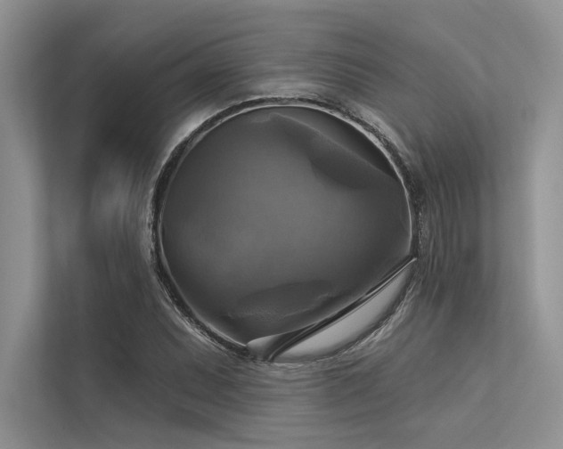 X0000113341071200909221119