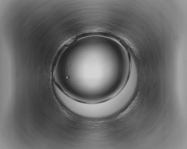 X0000113341073200909221119