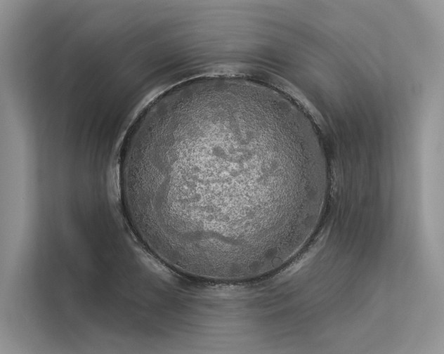 X0000113341075200909221119