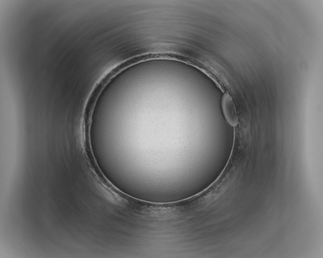 X0000113341076200909221119