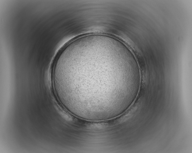 X0000113341078200909221118